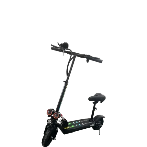 L1