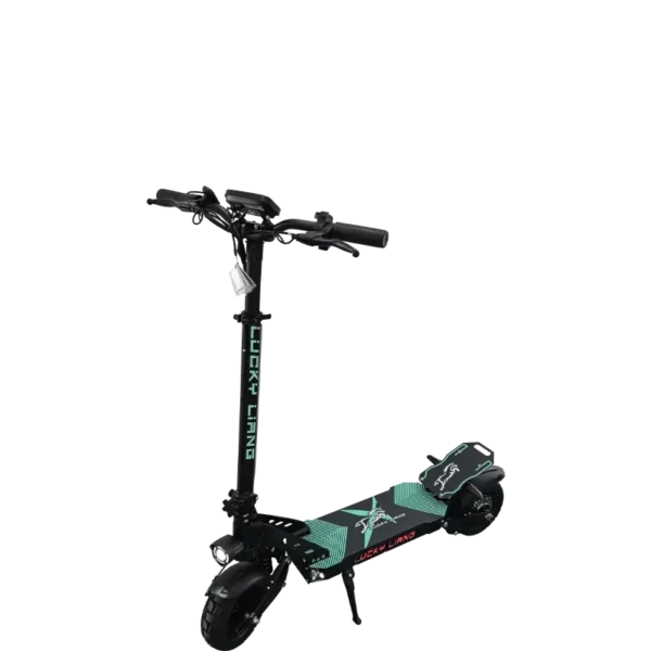L2 - Image 3
