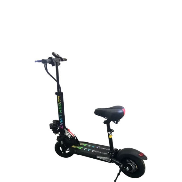 L1 - Image 3