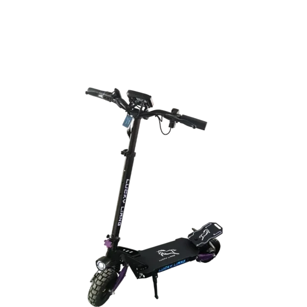 L2