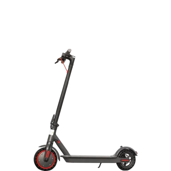L11