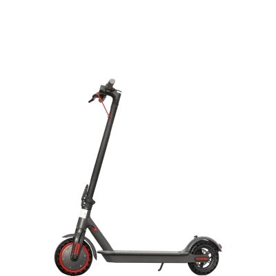 L11